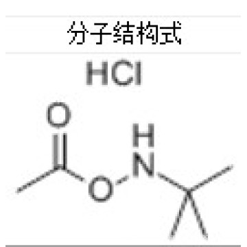 Clorhidrato de O - acetil - N - terc - butilhidroxilamina